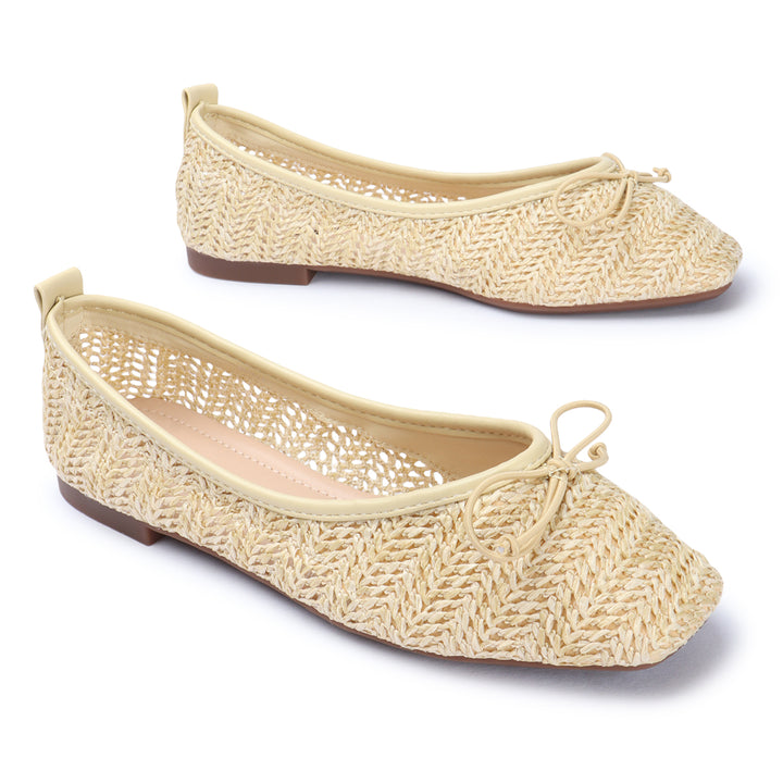 Chic Net Ballerinas